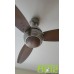 Pak Elegance 56" Ceiling Fan