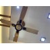 Zabeen 4 Blades Luxury Ceiling Fan Golden