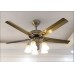 5 blade ceiling fan with light