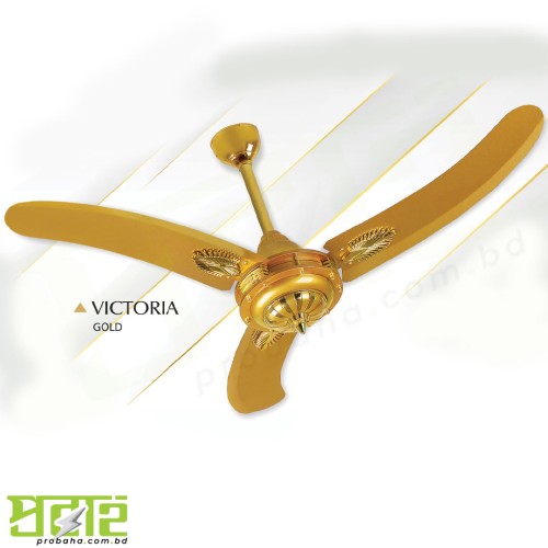 Pak Punjab Victoria Fan