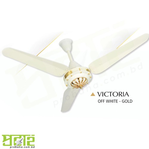 Pak Punjab Victoria Fan