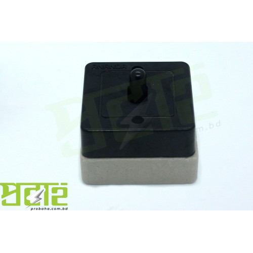 Ananda 20 amp porcelain square switch